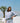 Wanderer Shorts - Cornflour