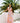 Asher Dress - Corsage Spring